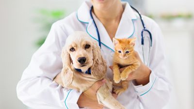 spay and neuter benefits in sewell, nj