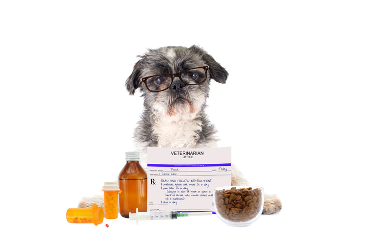 what is gabapentin use in dogs deptford nj