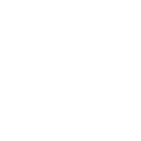 dog x-ray icon