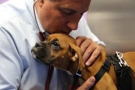 A person kissing a dog<br />
